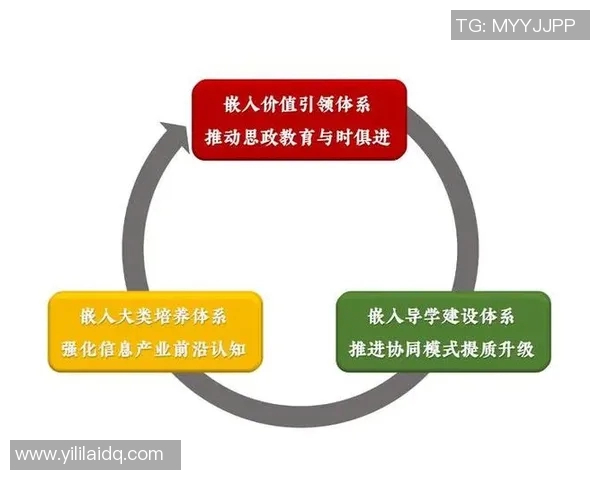以训练为核心推动全面能力提升的策略与实践探索